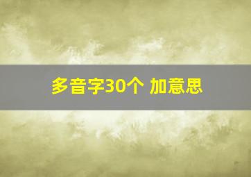 多音字30个 加意思